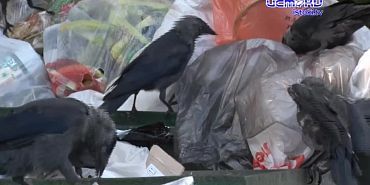 Дарвина дом 6