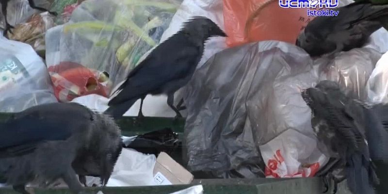 Дарвина дом 6