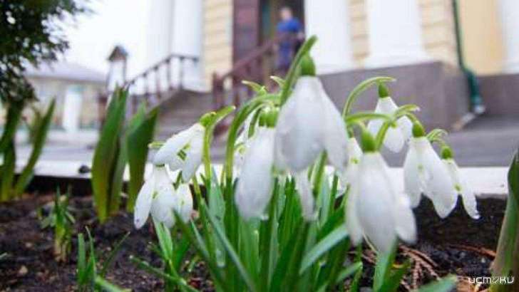 Орловские верующие 8 марта отпраздновали первую седьмицу Великого поста