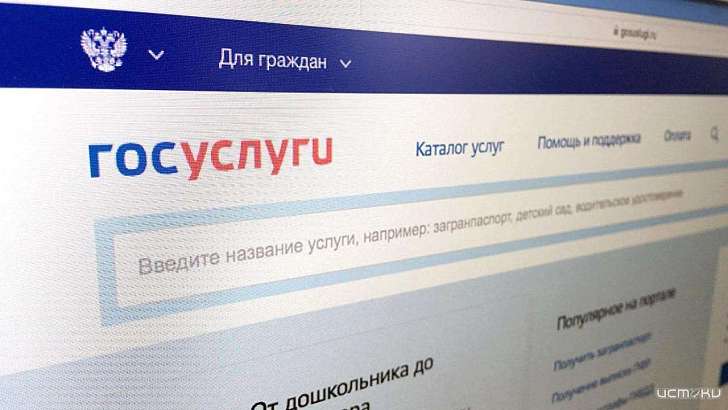 Почти миллион раз орловчанам пригодился портал госуслуг в этом году