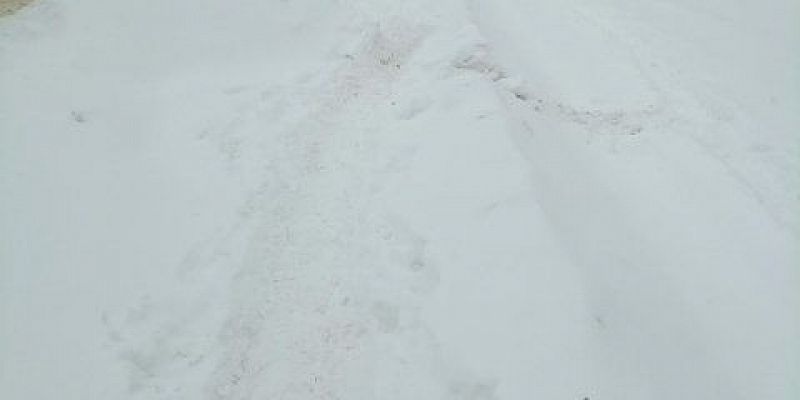 Фотографии состояния дорог и трасс орловчане сегодня присылают нам в редакцию