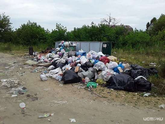 Деревню в 6 километрах от Орла завалило мусором