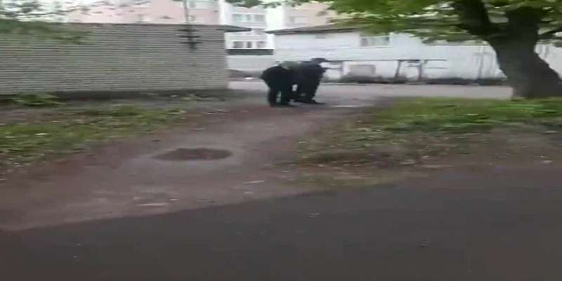 В Орле на второклассницу обрушилась стена ветхого здания