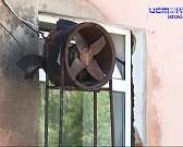 Сезон охоты на деревья: в центре Орла незаконно вырубили зеленые насаждения