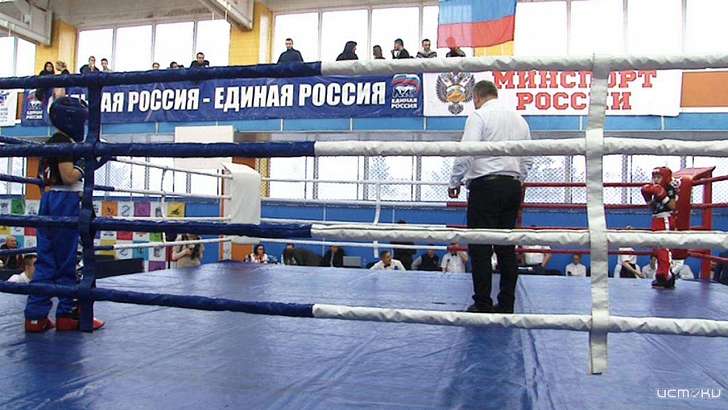 Орел на несколько дней превратился в столицу кикбоксинга 