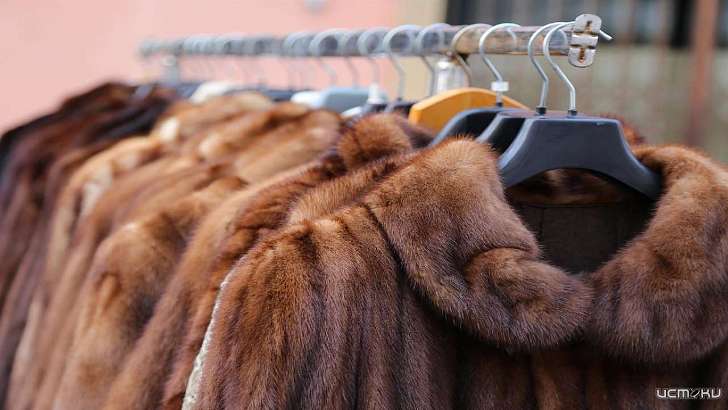 Шубы без чипа: на Орловщине сняли с продажи меха на 3,5 млн рублей 