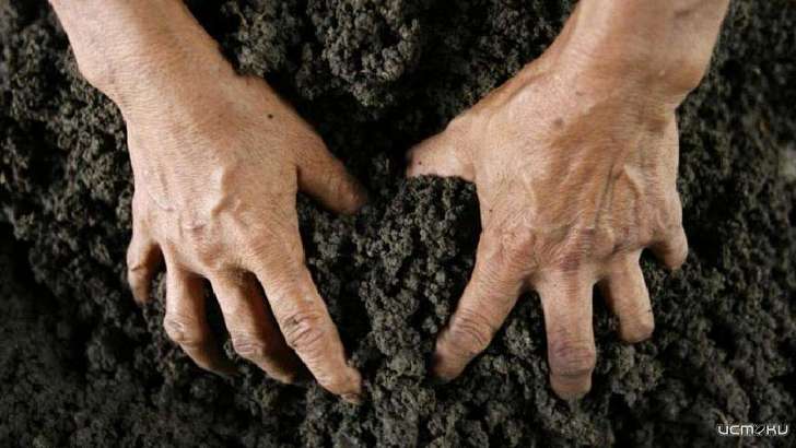 Почти 300 орловчан заплатили штрафы за захват чужой земли