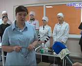 Собака-друг человека? А бездомные коты?