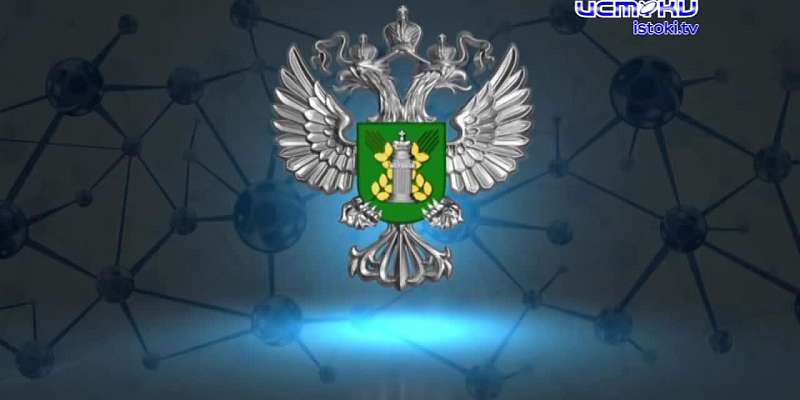Экспертное мнение 28.03.2024