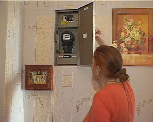 Какая из форм управления домом наиболее приемлемая?