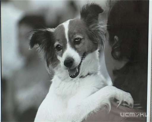 Экспозиция "Я люблю эту землю" открылась в орловском фотохудожественном центре «Ракурс»