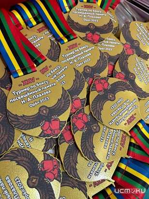 В Орле стартовал турнир по боксу памяти мастера спорта СССР Николая Плахова