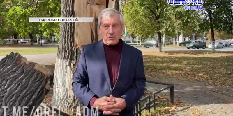 Быть или не быть? Вот в чем вопрос, который сейчас судьбоносен для старинного дуба на Бульваре Победы. Московские специалисты приехали разбираться