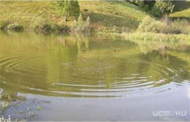 В Ливенском районе утонул 24-летний парень