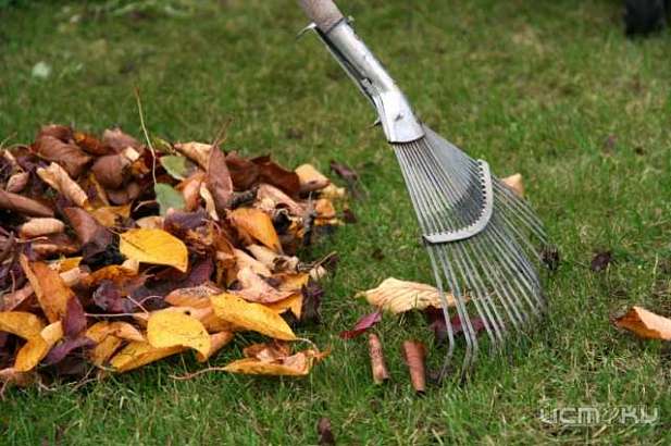 Приглашаем к участию в традиционном субботнике!