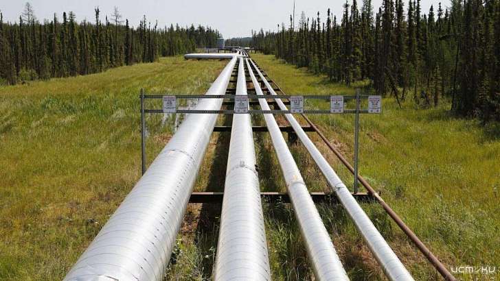 Чтобы не упустить шанс на УДО, орловчанин заплатил 350 тысяч за хищение нефти