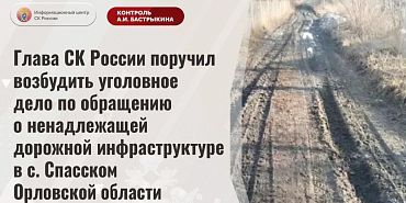 Бастрыкин поручил возбудить уголовное дело из-за состояния дороги в селе под Орлом