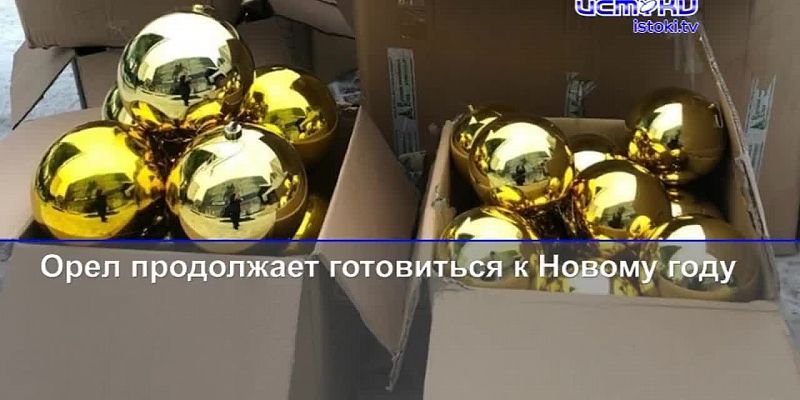 В Орле начали устанавливать новогодние елки, а сотрудники ГИБДД обменялись опытом с коллегами