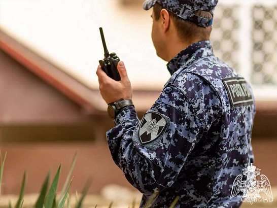 Жительница Урицкого района вместо грибов нашла в лесу газовый пистолет