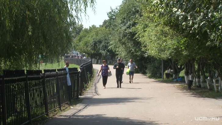 В детском парке Орла спилят 165 деревьев