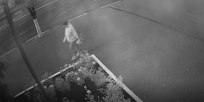 После ночной прогулки орловчанки в центре города поредела клумба