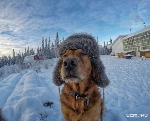 Суббота будет прохладной и снежной