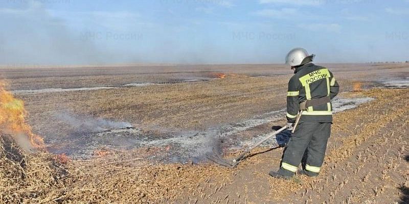 Термоточки  Шесть термоточек подтвердились в Орловской области