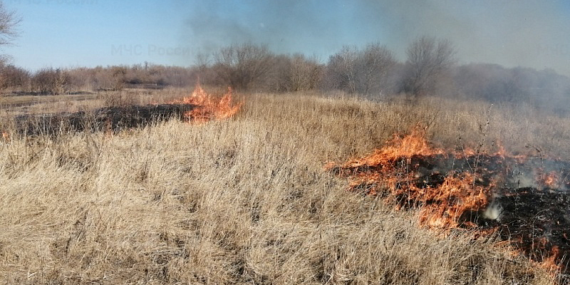 Орловские спасатели за выходные совершили 97 выездов 