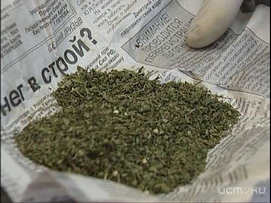 У жителя Малоаргангельского района нашли более 60 граммов наркотиков