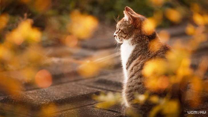 На Орловщину надвигается потепление