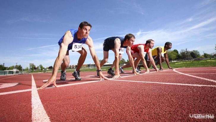 Спортивная жизнь региона налаживается: в Орле скоро начнут проводить соревнования 