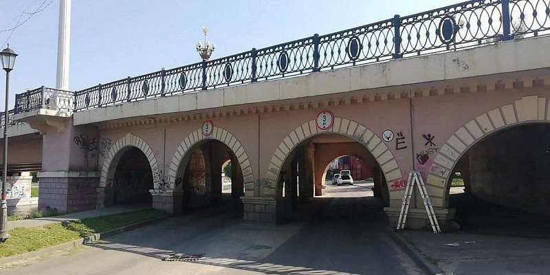 Рисковать не стоит: в Орле под «мостом глупости» появился олень 