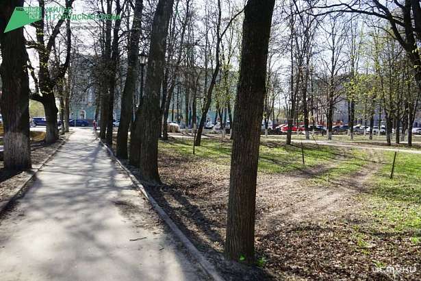 Жители Орла считают, что голосование по благоустройству общественных территорий проходит нечестно