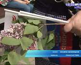 Праздничные мероприятия посвященные Празднику Победы прошли в городском парке