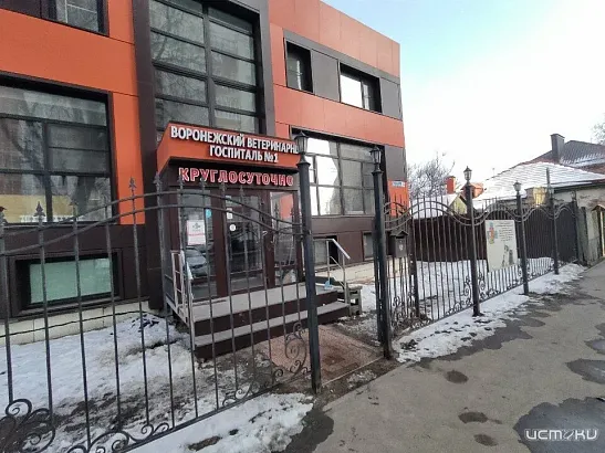 Ветеринарная клиника Воронеж 24/7 Ветеринарная клиника Воронеж 24/7