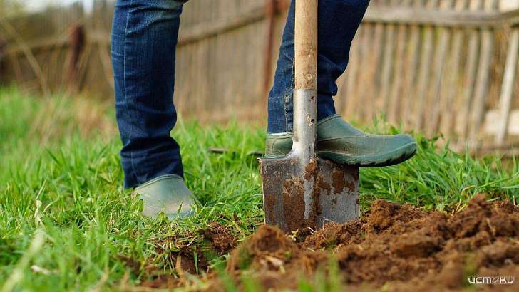 Орловчанам расскажут, как подготовить почву к дачному сезону