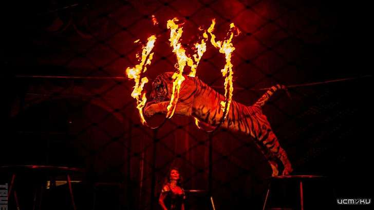 Слушатели Ретро FM в Орле могут выиграть билеты в цирк