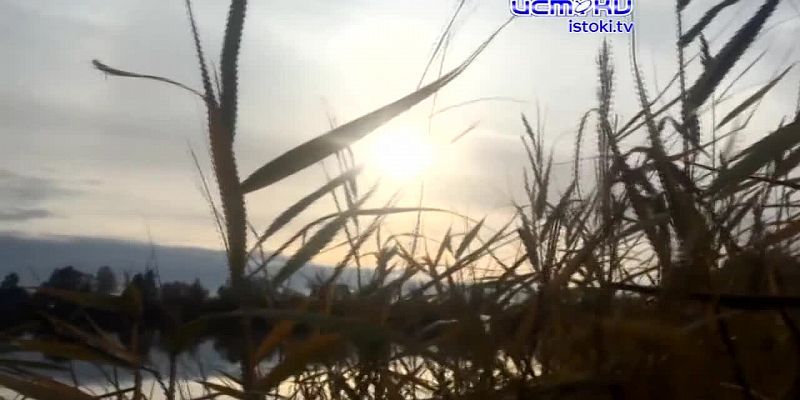 Велосипедист опубликовал видео тротуарной плитки, которая начала уходить под землю,