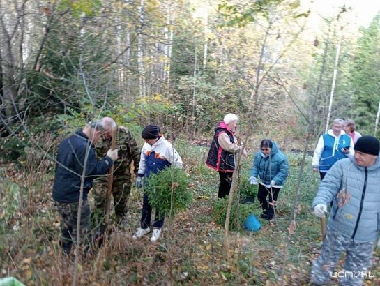 В Верховском районе высадили 400 елей в рамках Всероссийской акции «Сохраним лес»