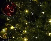 С Новым 2026 годом!