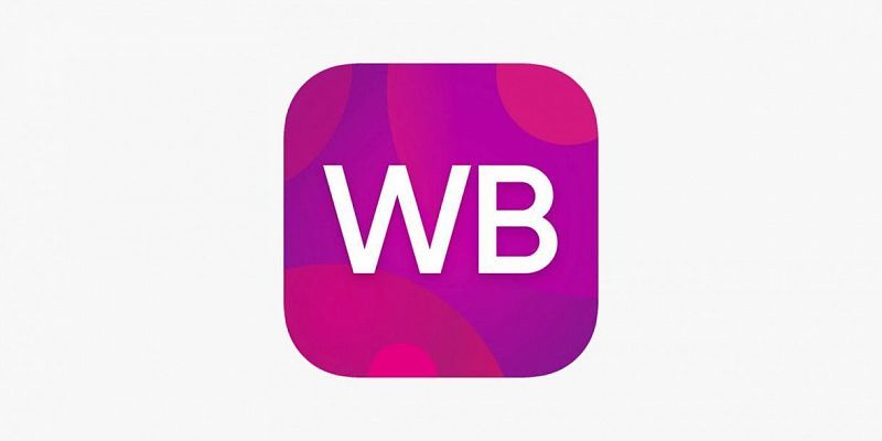 В Орле менеджера пункта выдачи «Вайлдберриз» и ее подельника осудили за мошенничество