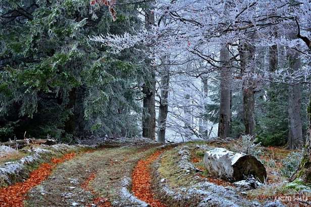 На Орловщину надвигаются морозы