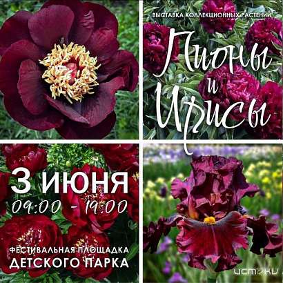 В Орле во второй раз проведут фестиваль цветов "Стрелка"