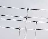 В филиале ПАО «МРСК Центра» - «Орёлэнерго» начался сезон массовых работ