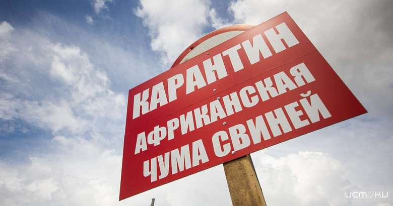 На Орловщине в двух районах ввели карантин по АЧС