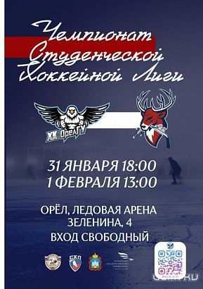 Все на хоккей!