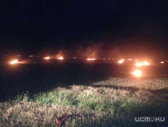 В Орловской области за сутки было ликвидировано четыре возгорания