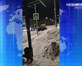 Впервые на Герценском мосту появились цветы. Экспресс - новости.
