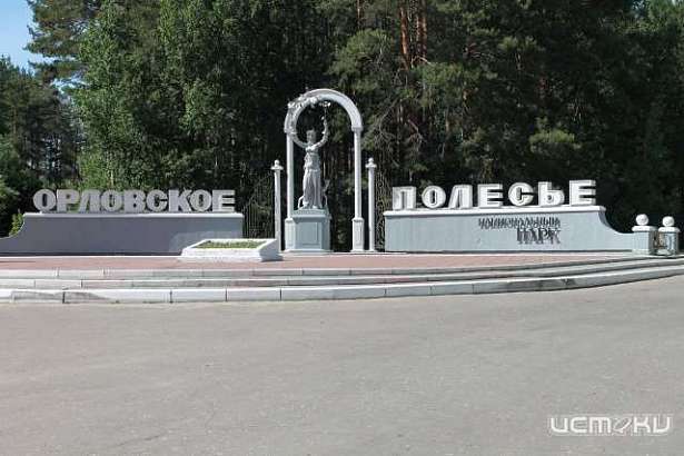 В "Орловском полесье" установлен факт незаконной вырубки деревьев