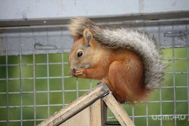 Орловчан приглашают принять участие в благотворительной акции 